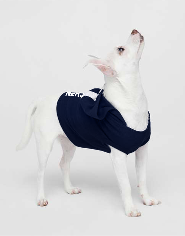 Pet Hoodie - Navy (Small Pet)